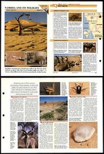 Namibia & Its Wildlife #40 World Habitats Wildlife Fact File Fold-Out Card