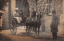 POSTCARD   PONY & TRAP