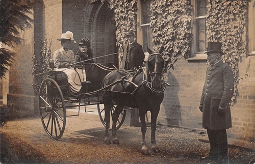 Postcard pony trap - &,