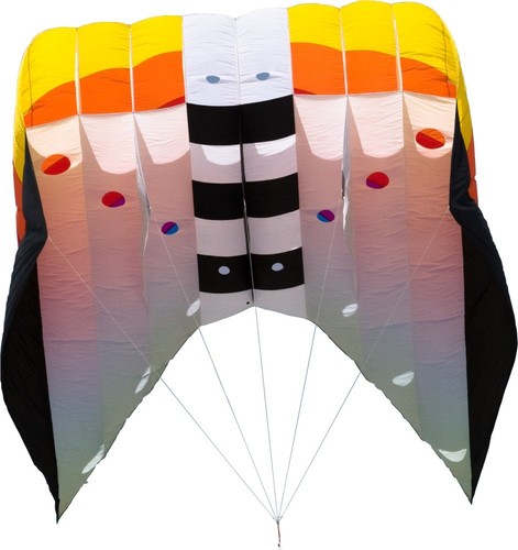 Single line kite - hq, form