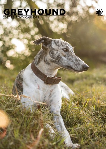 Greyhound 2027 a3 - a3, wall