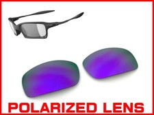 LINEGEAR Violet  Polarized