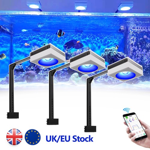 Popbloom rl90 wifi marine - marine, led