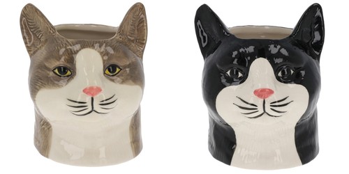 Shudehill giftware moggy - giftware, cat