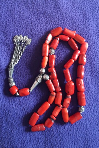 Beautiful heavy barrel coral - beautiful,