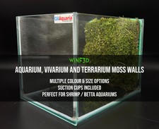 Freshwater Aquarium Moss Wall