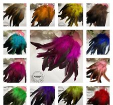 25 Rooster Tail Feathers