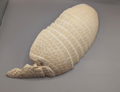 Armadillo carapace skulls - armadillo, carapace,