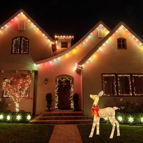 Christmas reindeer for - (a)christmas,