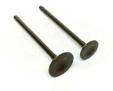 Inlet exhaust valves for - exhaust,
