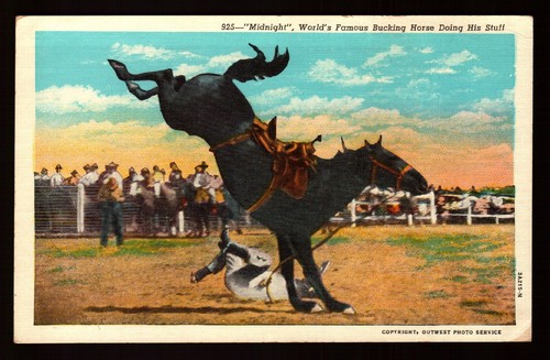 Postcard cowboy rodeo - postcard,