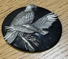 Siskiyou EAGLE soaring Indian