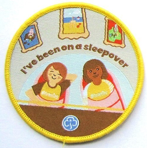 Brownie guide badge i ve - guide,