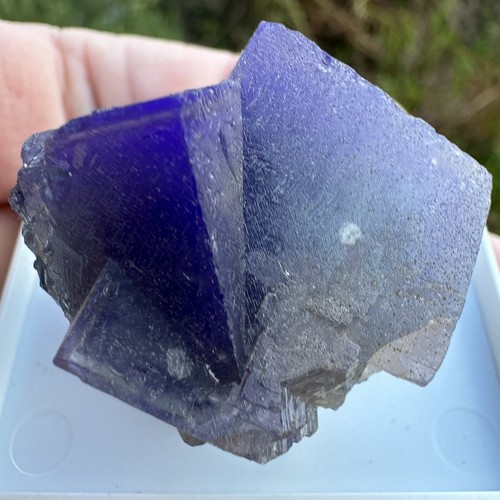 Fluorite crystal heights mine - crystal,