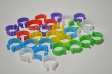 Large 20mm Chicken Rings