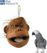 Java coco monkey - coco, parrot