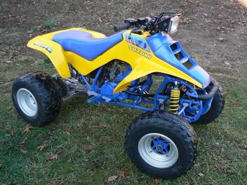 Suzuki lt250r breaking - suzuki, breaking,parts
