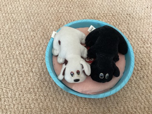 Hornby pound puppies newborns - hornby,