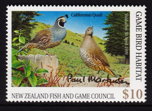 New zealand 1998 game - game, bird