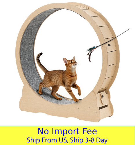 Cat exercise wheel wooden - exercise,