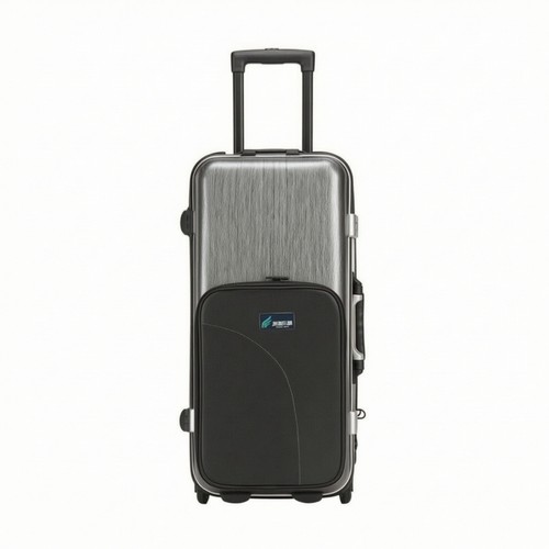 Saxophone case with pocket - saxophone,