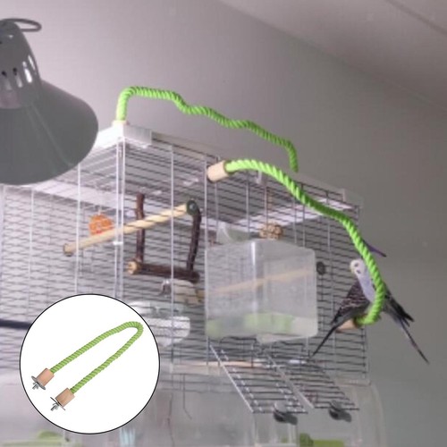 Stable bird rope - rope, parrot