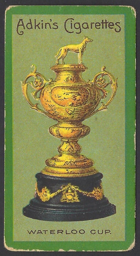 Adkin sporting cups - -,