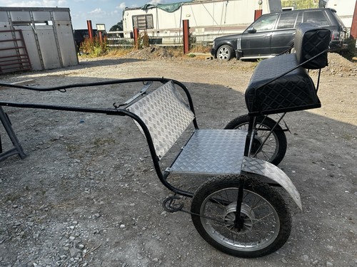 Horse pony cart - pony,