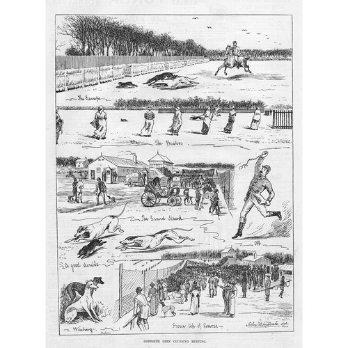 Coursing the gosforth open - coursing,