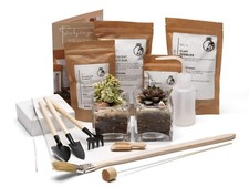 Succulent Plant Arrangement DIY in Glass Cube Planter Plant Gift Box Terrarium