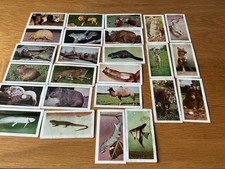 25 Hornimans Tea Cards From