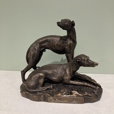 Greyhound Standing Coated