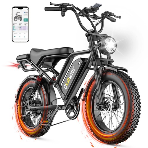 Electric bike for adults - electric,