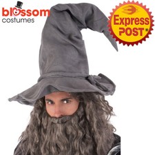 AC808 Harry Potter Grey Wizard
