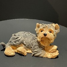 Yorkshire Terrier Country