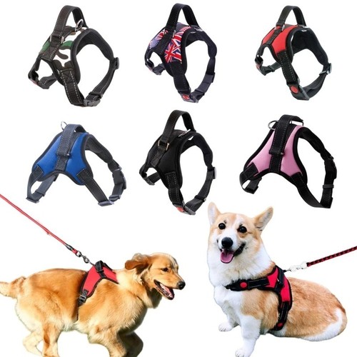 Pull dog pet harness - dog,