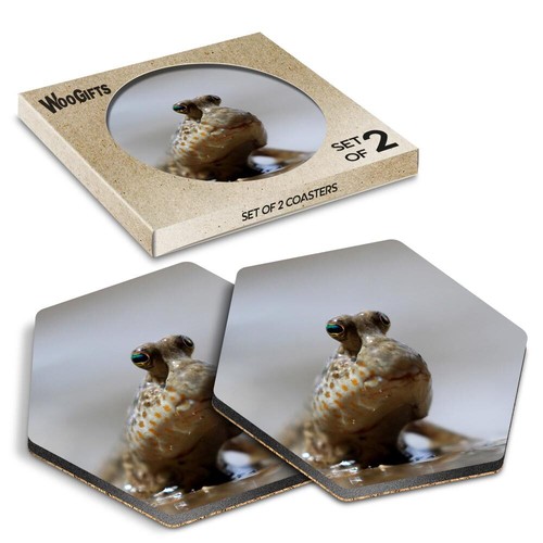 Hexagon mdf coaster cute - coaster,