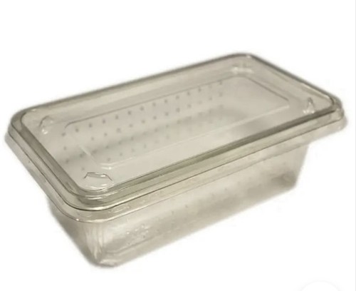 Insect boxes cricket - x,