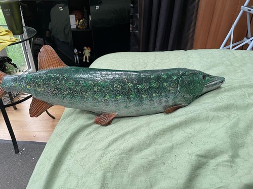 Taxidermy pike - taxidermy,