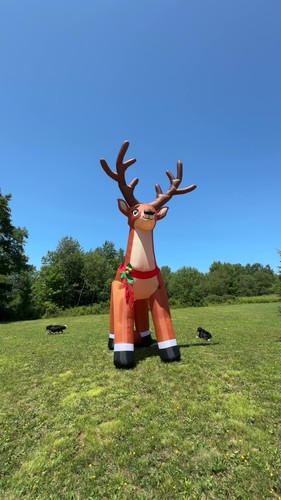 Gemmy airblown inflatable - inflatable, 20ft