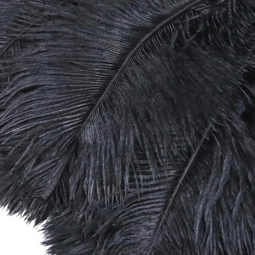 10pcs large ostrich feathers - ostrich,