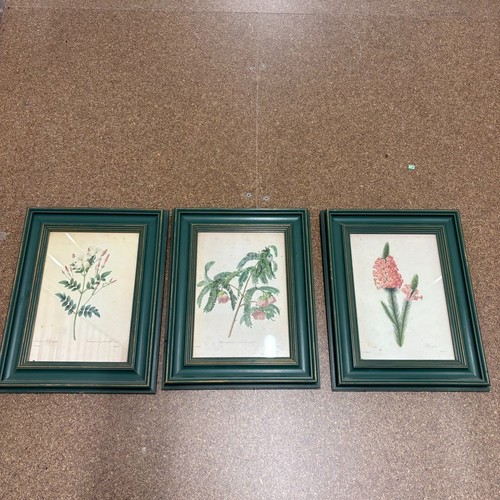 Set three framed pictures - of,
