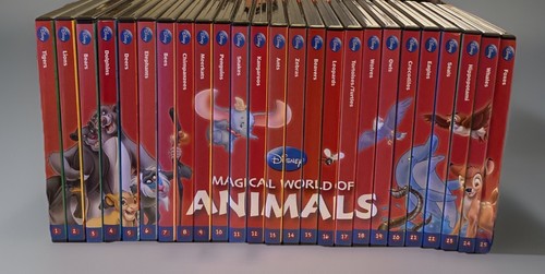 Walt disney magical - magical, world