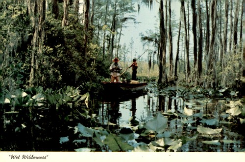 Okefenokee swamp park boat - okefenokee,