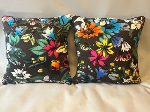 Osborne little cotton - little,