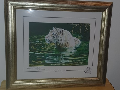 Stephen gayford white - gayford, haven"