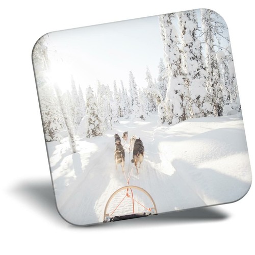 Awesome fridge magnet dog - awesome,