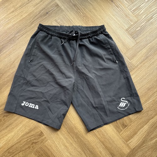 Swansea city afc football - swansea,