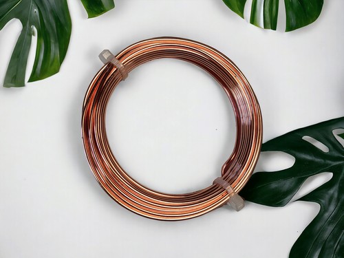 Electroculture opper antenna - electroculture,