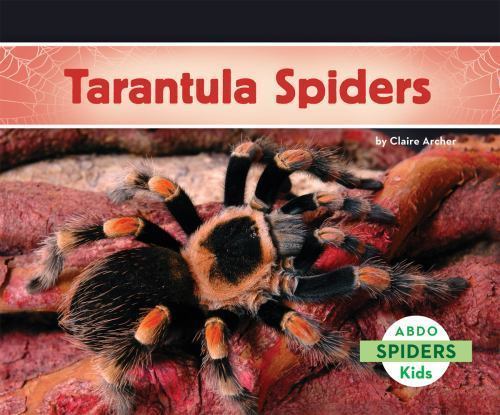 Tarantula spiders archer - tarantula,